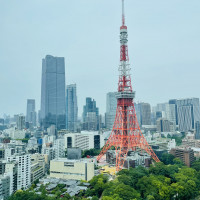 披露宴会場から観れる東京タワーの眺望です。