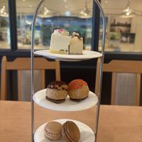 試食でいただいたケーキです。どれも美味しかったです。