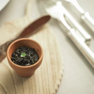 植木鉢のような器がかわいい