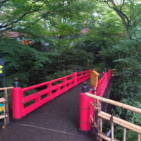 庭園の弁慶橋