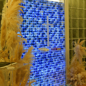 青いバラが敷き詰められたバージンロード、とても綺麗です|668074さんのウエディングレストラン ジュレの写真(2088721)