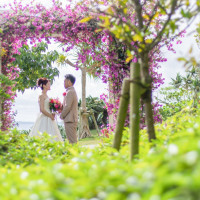 ブーゲンビリアのお花に囲まれて