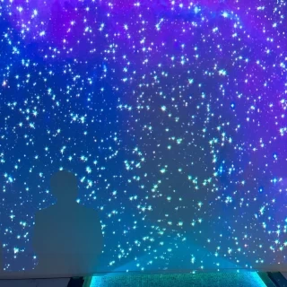 ゲストが入場する時に星空にしてもらいました。