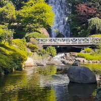 池もあり鯉が泳いでました