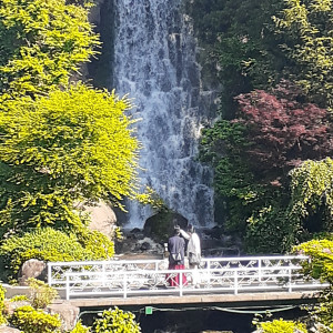 滝の前で撮影できます|668369さんのロイヤルガーデンパレス 柏 日本閣の写真(1857019)