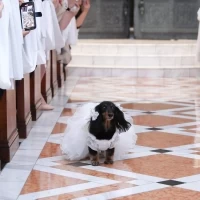 リングドックで愛犬にも協力してもらいました