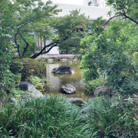 ガーデン内の池