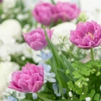 お花