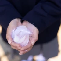 フラワーシャーの代わりのフェザーシャワー