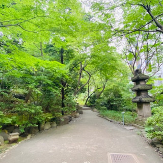 チャペルまでの日本庭園