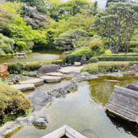 日本庭園を流れる小川
