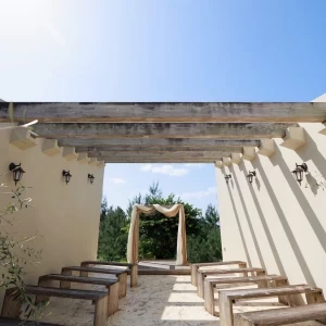 青空の下、木に囲まれた挙式会場|669438さんの皿の上の自然(SALLY WEDDING DESIGN)の写真(1861708)