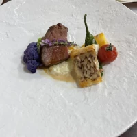 お肉、お魚、リゾット