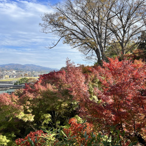 紅葉がしており、とても綺麗でした|669788さんの辻家庭園 ～前田家家老旧横山家迎賓館～（金沢市指定文化財）の写真(1994894)