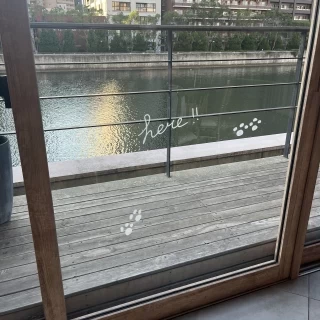 わんちゃんの待機場所