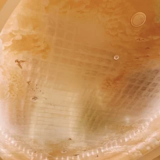 チャペルの天井の様子