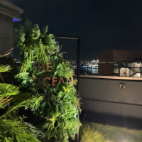屋上の様子