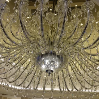写真に映えますね