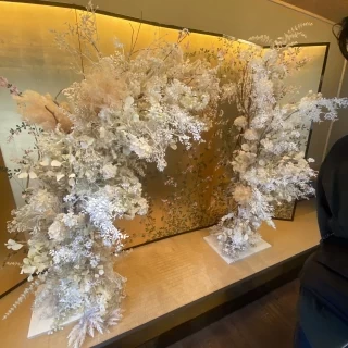 綺麗でした