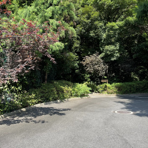 チャペルに続く道|670055さんの鶴見ノ森 迎賓館の写真(1866660)