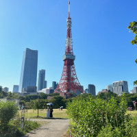 プリンスパークタワーの一番の魅力、東京タワー、当日写真OK。