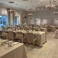 綺麗でした