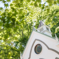 輝くような新緑でした