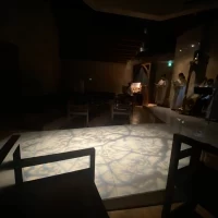 光演出