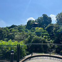 有名な雲海がある庭園