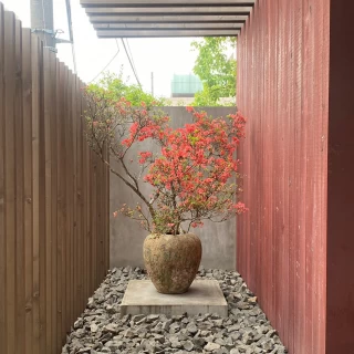 式場の入口では素敵な大きなお花がお出迎えしてくれています