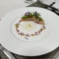 試食でいただいた前菜