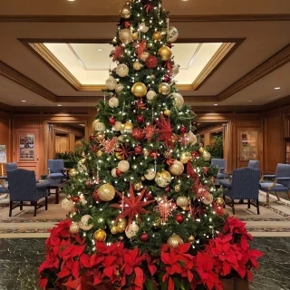 12月になると、クリスマスの装いです