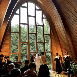 自然光が入るのがとても良い|671113さんのMaison de Forest(メゾン・ド・フォレスト)の写真(2580569)