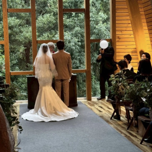 緑と自然光がお気に入りです|671113さんのMaison de Forest(メゾン・ド・フォレスト)の写真(2580571)