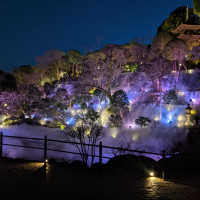 夜の庭園もきれい