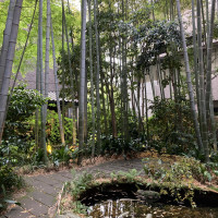 竹と池の庭