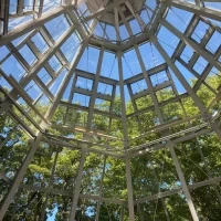 チャペルの天井。緑と光が綺麗です。