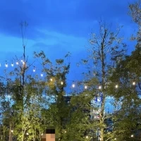 夕暮れ時のお庭は植物と空が一体化し、より綺麗です。