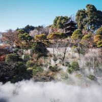 雲海演出