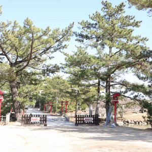 参道に松が並んでいて素敵な雰囲気です。和装映えスポット。|671620さんの吉備津彦神社の写真(1952321)