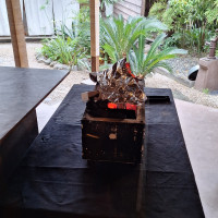 料理場