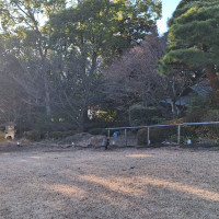 ガーデン