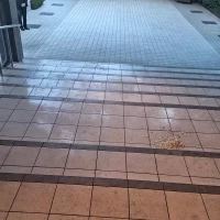 フラワーシャワーが行われる場所
