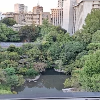 中からみたときの外観