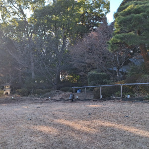 ガーデン|671678さんのQ.E.D.CLUB（キューイーディークラブ）の写真(2423655)