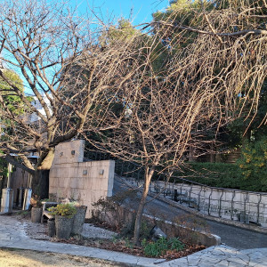 ガーデン|671678さんのQ.E.D.CLUB（キューイーディークラブ）の写真(2423659)