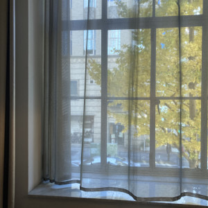 銀杏は窓からも眺められます|672028さんのラ・バンク・ド・ロア(横浜市指定有形文化財）の写真(1987303)