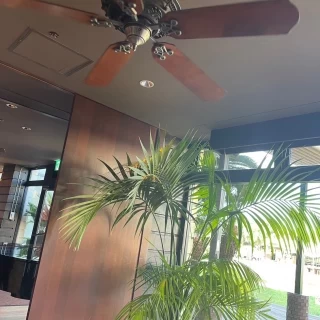 入り口付近