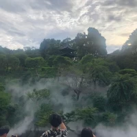 雲海