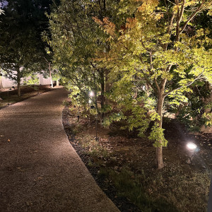 綺麗にライトアップされた　整備された癒しの庭|672347さんの麗風つくば シーズンズテラスの写真(1883431)